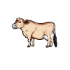 Jersey Mommy - Jersey Cow