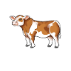 Simmental Mommy - Bœuf Simmental