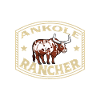 Watussi Beef - Ankole Rancher