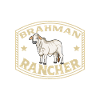 Zebu Beef - Brahman Rancher