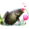 Carp King
