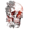 Flaming Skull & Rose