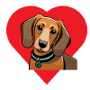 Dackel-Liebe