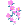Hibiscus flowers