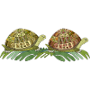 Turtles