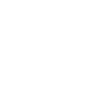 Fox Terrier Amour