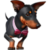 Dobermann Hund Dobermanntrainer Dobermannwelpe