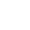 Schnoodle Love