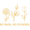 Flower Flower Plant