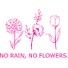 Fleur Plante à fleurs