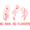 Flower Flower Plant