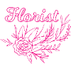 Flower Flower Plant