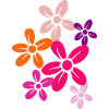 Flower Flower Plant