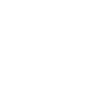 Flower Flower Plant
