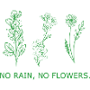 Flower Flower Plant