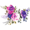 Flower Flower Plant