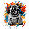 Pug
