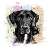 Chien Dogue Dogue Noir