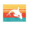 Orca Whale Gifts