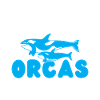 Orca Whale Gifts