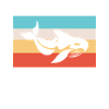 Orca Whale Gifts