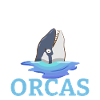 Orca Whale Gifts