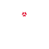 Japan Flag - Oita