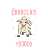 Pas d’humeur - Charolais