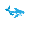 Orca Wal Geschenke