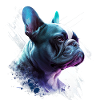 Frenchie fransk bulldog abstrakt maleri farge