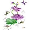 Water lily with goldfish