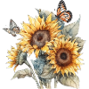 Butterflies Nature Butterfly Sunflower