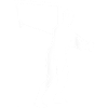 Pull Musculation Entraînement Fitness