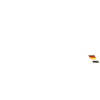 BEAR white