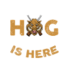 Hog Hunter Pig Hunt