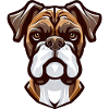 BOXER DOG ARTWORK