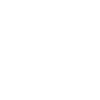 Original 100% Alex