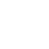 Original 100% Aaron