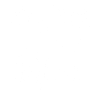 Original 100 % Alina