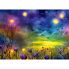 Fleurs de nuit étoilée
