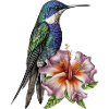 Mignon colibri avec fleur