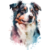 Australian Shepherd Hund Aquarellporträt
