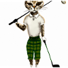 Golfkatze als Model