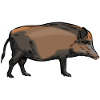 Sanglier - Sanglier - Chasse - Chasseur
