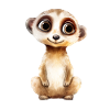Suricate Dessin Aquarelle
