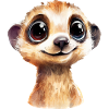 Suricate Dessin Aquarelle