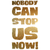Nobody can stop us now!