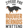 Bouvier bernois 6