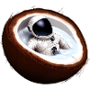 Astronaut in a coconut