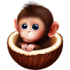 Monkey in a coconut